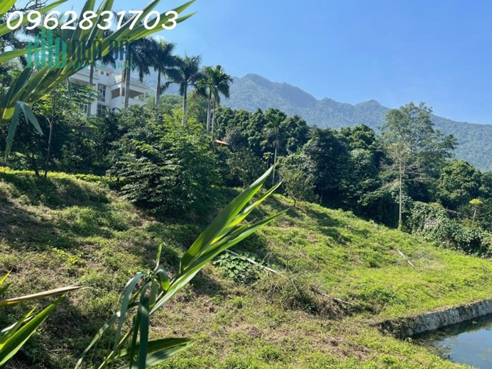 bán gần 3000m đất yên bình giá rẻ nhất thị trường