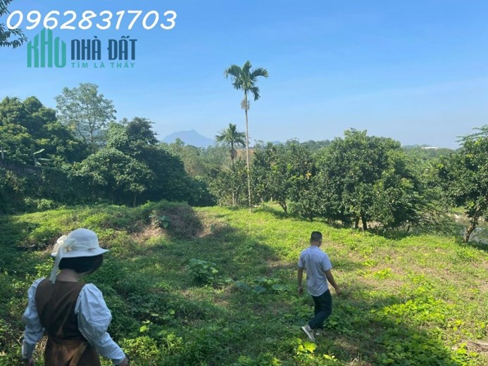 bán gần 3000m đất yên bình giá rẻ nhất thị trường