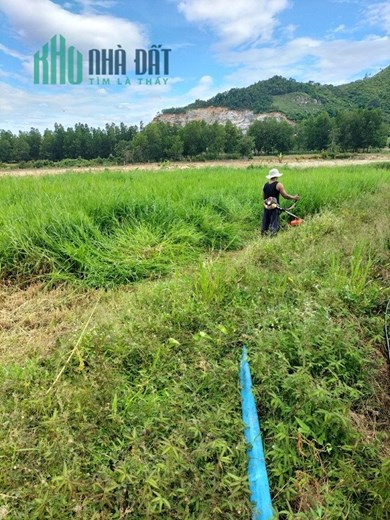 ĐẤT ĐẸP -GIÁ CỰC TỐT Vị Trí Đắc Địa Tại Xã Lâm sơn, Ninh Sơn, Ninh Thuận