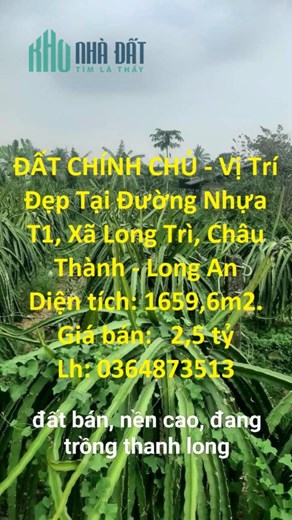 ĐẤT CHÍNH CHỦ - Vị Trí Đẹp Tại Đường Nhựa T1, Xã Long Trì, Châu Thành - Long An