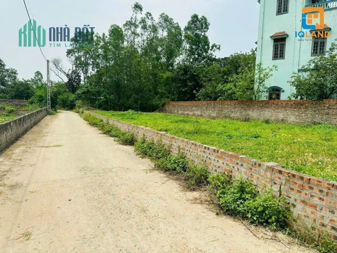 E cần bán lô Gờ Gạo,Minh Trí,Sóc Sơn đường 5M thông giá F0 cho quý ac ạ