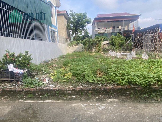 CC cần bán gấp lô đất 62,2m đường yên Xuân Nộn 
Mặt tiền, hậu 4,8m sâu 13m