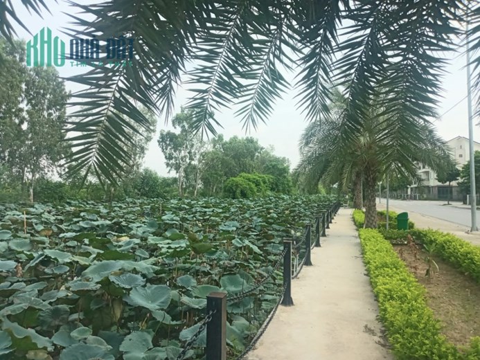 Phong thuỷ đẹp. Biệt thự ven sông VSIP, Từ Sơn, Bắc Ninh.  Chưa đầy 13 tỉ.