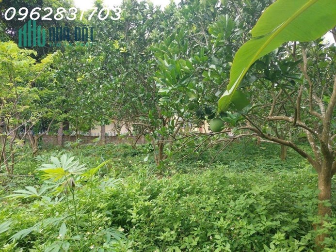bán lô bám hồ đồng quýt 868m giá hơn 3 tỷ đường oto tranh nhau, khu kinh doanh home stay mới