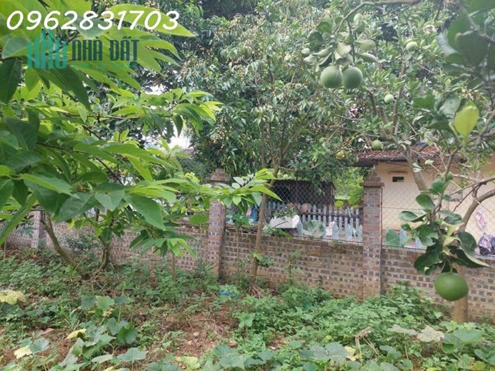 bán lô bám hồ đồng quýt 868m giá hơn 3 tỷ đường oto tranh nhau, khu kinh doanh home stay mới