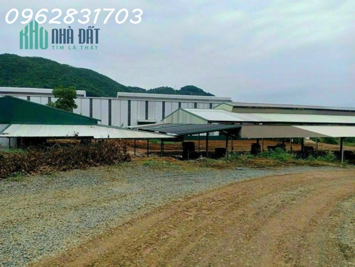 cần bán 6000m sẵn nhà xưởng tại tiến xuân giá 15 tỷ làm việc chính chủ