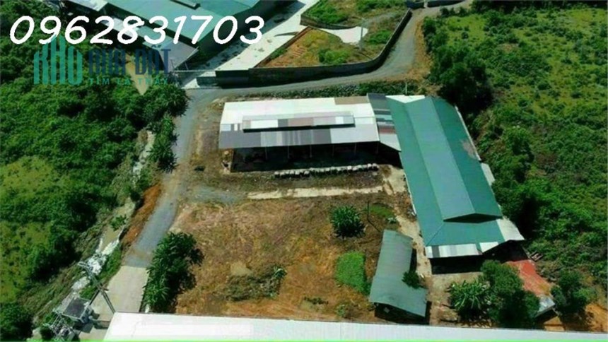 cần bán 6000m sẵn nhà xưởng tại tiến xuân giá 15 tỷ làm việc chính chủ