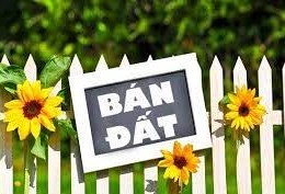 Chính chủ cần bán nhanh nhà và đất gần bia chiến thắng, gần chợ km6 đường Tuyên Quang - Hà Giang.