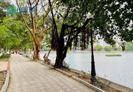 Bán đất Hồ Ba Mẫu, Đống Đa xây CCMN, 71m2, cách phố 20m giá hơn 6 tỷ