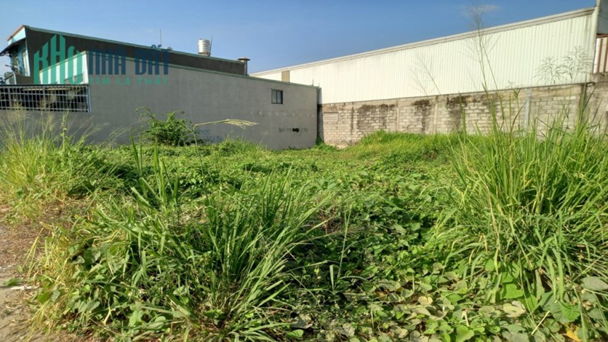 Bán đất An Phú Đông 3 phường APĐ QUẬN 12, ngan 8m, Đ.8m, giá Full chỉ 5.8 tỷ