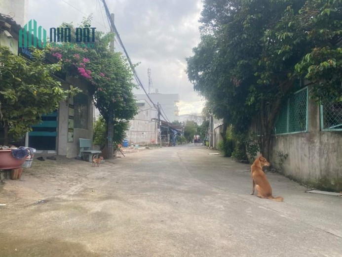 BÁN ĐẤT TẶNG NHÀ 8,3X18,9M F.TRƯỜNG THẠNH-TP THỦ ĐỨC.
