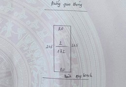 Bán Lô Đất tại Thôn Thượng Tùng, Xã Lão Hộ, Yên Dũng, Bắc Giang.