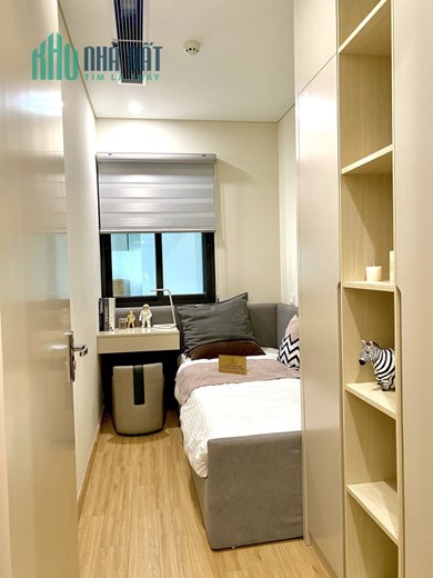 Những điều ưu đãi khi mua Moonlight 1 thời điểm cận Tết mà chưa ai nói bạn biết