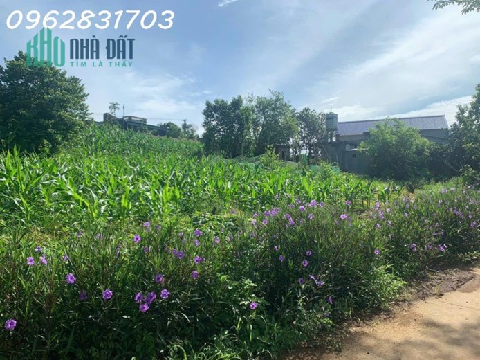 dành cho nhà đầu tư chỉ hơn 1 tỷ sở hữu ngay lô đất vàng hơn 1350m- làm việc chính chủ