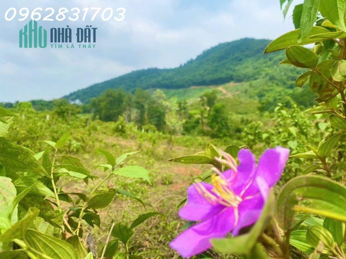cần bán 2,5ha đất thổ cư và cln mặt đường xe công tranh nhau, 3p sang cổng chính ĐHQG giá chỉ hơn