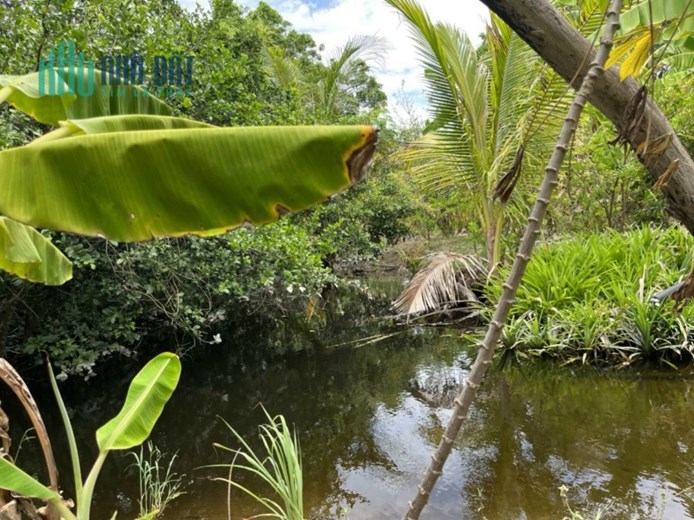 Chính chủ cần bán lô đất Quy hoạch thương mại dịch vụ, cách bãi tắm Đồi Dương 100m ở Bình Thạnh,