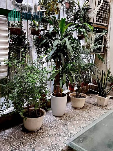 Nhà Phố Thịnh Hào2-55m-6.4 tỷ-Đầu Tư tuyệt đỉnh_TT ĐỐNG ĐA