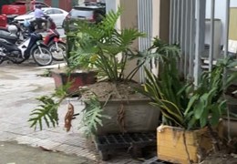 CHO THUÊ 100m2 MT15m SÀN LÀM CAFE TẠI VĂN KHÊ, NHÀ LÔ GÓC, MẶT PHỐ RẺ CHỈ 7TR/TH KHU ĐÔ THỊ VĂN PHÚ