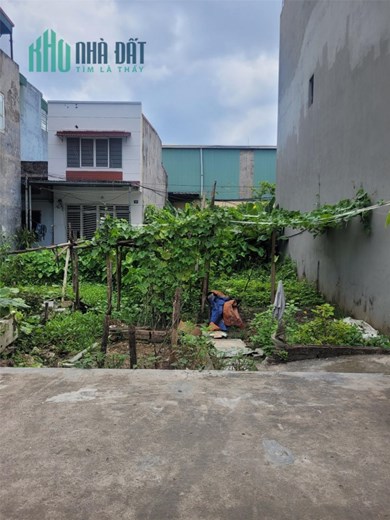 Chính chủ gửi bán gấp lô đất cực rẻ tại Phú xá, Đông Hải, Hải An