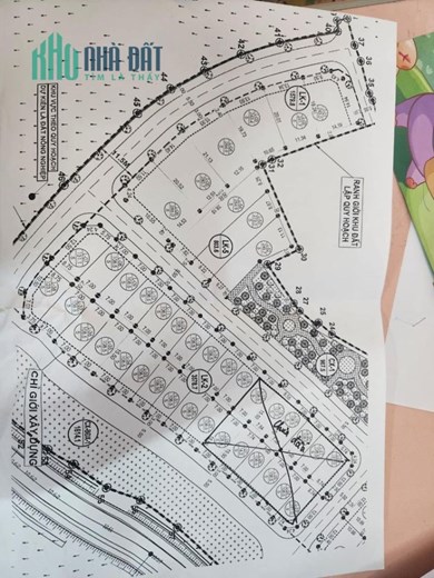 Đấu Giá Hiền Ninh. Lh 0963886233