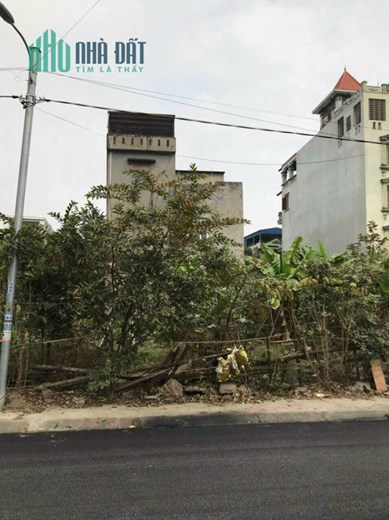 Bán lô đất biệt thự rẻ nhất thị trường tại Bùi Thị Tự Nhiên, Đông Hải 1, Hải An.