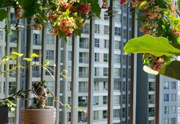 CẦN BÁN CHUNG CƯ VINHOMES, GARDENIA HÀM NGHI, NAM TỪ LIÊM, 111M* 3 PHÒNG NGHỦ, * 6.5 TỶ.