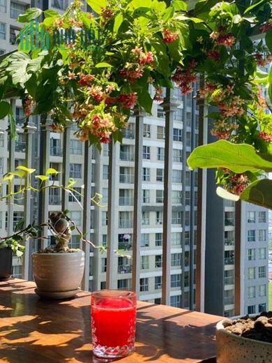 CẦN BÁN CHUNG CƯ VINHOMES, GARDENIA HÀM NGHI, NAM TỪ LIÊM, 111M* 3 PHÒNG NGHỦ, * 6.5 TỶ.