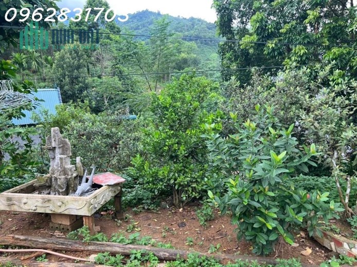 bán lô 668m yên trung giá 2 tỷ rẻ nhất thị trường, chủ cần tiền cắt lỗ nhanh
