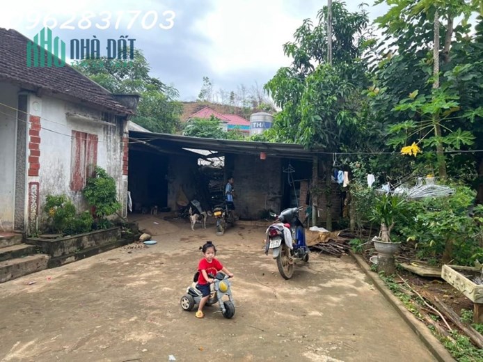 bán lô 668m yên trung giá 2 tỷ rẻ nhất thị trường, chủ cần tiền cắt lỗ nhanh