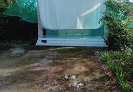 BÁN ĐẤT TẶNG NHÀ Vị Trí Đẹp Tại huyện Càng Long, tỉnh Trà Vinh
