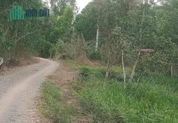 CHÍNH CHỦ BÁN LÔ ĐẤT RỘNG ĐẸP TẠI TT. BÌNH PHONG THẠNH MỘC HÓA - GIÁ RẺ BẤT NGỜ