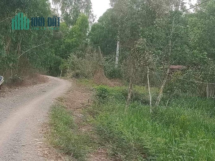 CHÍNH CHỦ BÁN LÔ ĐẤT RỘNG ĐẸP TẠI TT. BÌNH PHONG THẠNH MỘC HÓA - GIÁ RẺ BẤT NGỜ