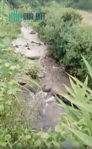 Tôi chính chủ.Cần bán lô đất sào ở bản Kiềng, Mường Cơi, Phù Yên, Sơn La