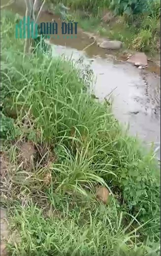 Tôi chính chủ.Cần bán lô đất sào ở bản Kiềng, Mường Cơi, Phù Yên, Sơn La