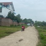 E còn mấy lô hương đình mai đình sóc sơn cho ai nhanh tay nhất