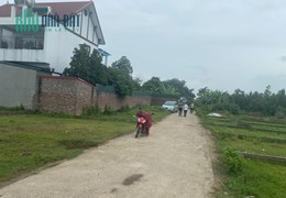 E còn mấy lô hương đình mai đình sóc sơn cho ai nhanh tay nhất
