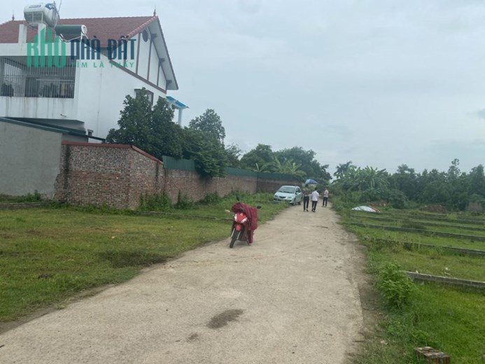 E còn mấy lô hương đình mai đình sóc sơn cho ai nhanh tay nhất