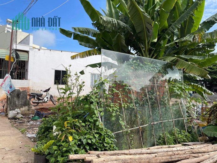 CẦN BÁN GẤP LÔ ĐẤT ĐẸP HẺM PHẠM VĂN DINH- TP.Vũng Tàu