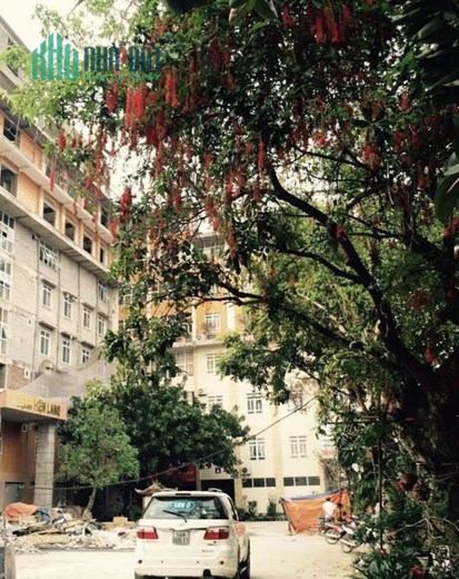 BÁN HOẶC CHO THUÊ BỆNH VIỆN TẠI BẮC GIANG.DÒNG TIỀN DOANH THU HÀNG THÁNG 7-8 TỶ. DT 2483M