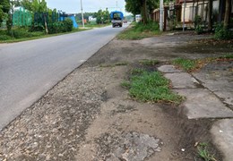 Siêu Phẩm mặt đường QL 37 mặt tiền tận 16m, diện tích hơn 2 nghìn m2, đang phân 2 lô giá 1,55 tỷ/