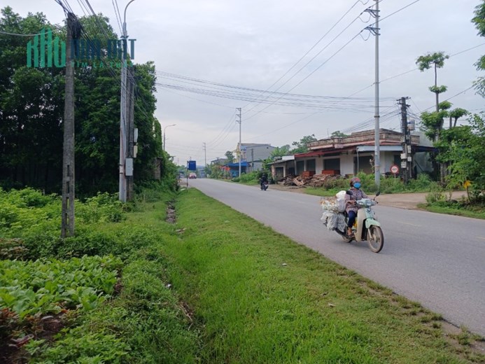 Siêu Phẩm mặt đường QL 37 mặt tiền tận 16m, diện tích hơn 2 nghìn m2, đang phân 2 lô giá 1,55 tỷ/