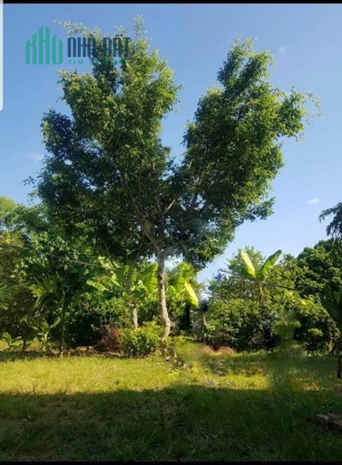 ĐẤT ĐẸP - GIÁ ĐẦU TƯ - Cần Bán Nhanh Lô Đất Tại Eakar, Daklak