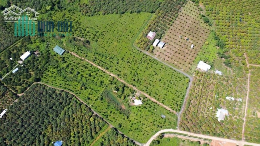BÁN ĐẤT VƯỜN LIỀN KỀ HỒ TRỊ AN, XÃ LA NGÀ, ĐỊNH QUÁN, ĐỒNG NAI HƠN 1000M2 GIÁ CHỈ 1TR/M2