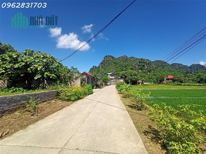 Chủ cần tiền bán nhanh lô đất 2050m hoa hậu Lương sơn giá chỉ nhỉnh 2 tỷ