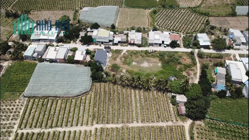 Bán lô đất biệt thự biển Liên Hương - Bình Thuận giá rẻ đầu tư chỉ từ 750 triệu mặt đường lớn 29m