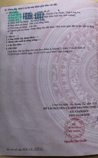 Chính chủ cần bán lô đất tại xã Tân Lân, huyện Cần Đước, tỉnh Long An