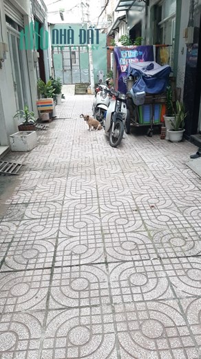Cho thuê NNC 4 tầng hẻm ô tô đường Bùi Minh Trực P6Q8. Giá 10 triệu