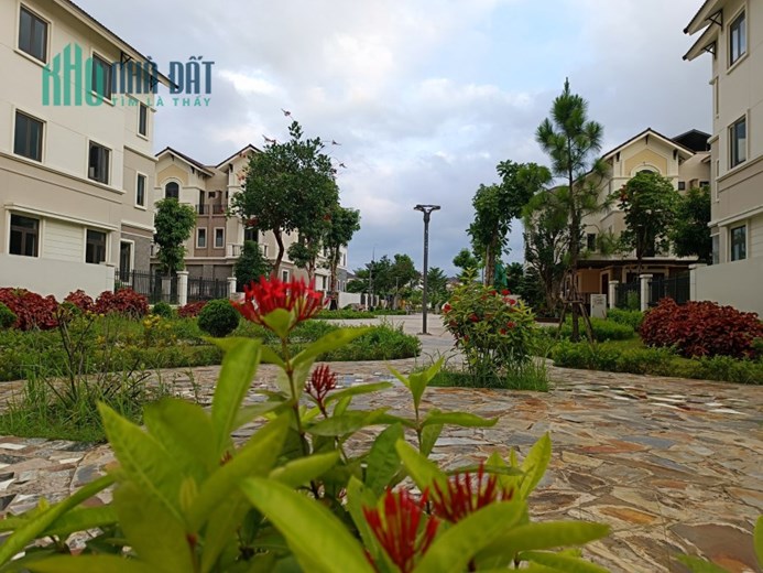 Biệt thự đẹp giá rẻ, trục thông, hướng Nam, VSIP, Từ Sơn, Bắc Ninh