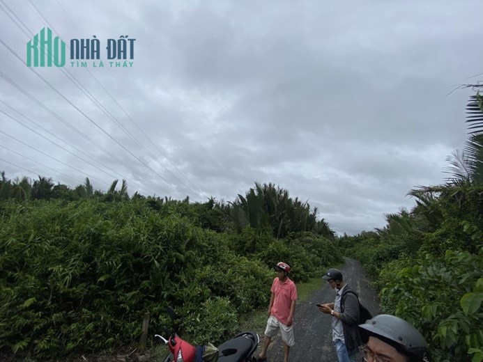 Cần  Bán Gấp  Đắt 2 Mặt Tiền Hùng Vương, 51059m2 Nhờ Anh em chạy phụ