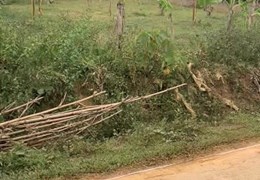 CHÍNH CHỦ BÁN 2 LÔ ĐẤT LIỀN KỀ HUYỆN BÁ THƯỚC - TỈNH THANH HÓA